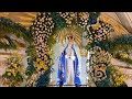 Mañanitas a la Virgen de la PURÍSIMA CONCEPCIÓN de Valparaíso Zacatecas | Diciembre 8 2020