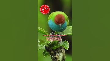 الله نور السموات والارض بصوت ماهر المعيقلي #ماهر_المعيقلي #الله_نور #سورة_النور #قران_كريم