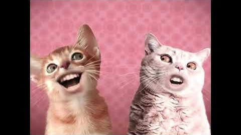 Preview 2 Numa Cat Effects (Inspired By Bad Piggies Csupo Effects)