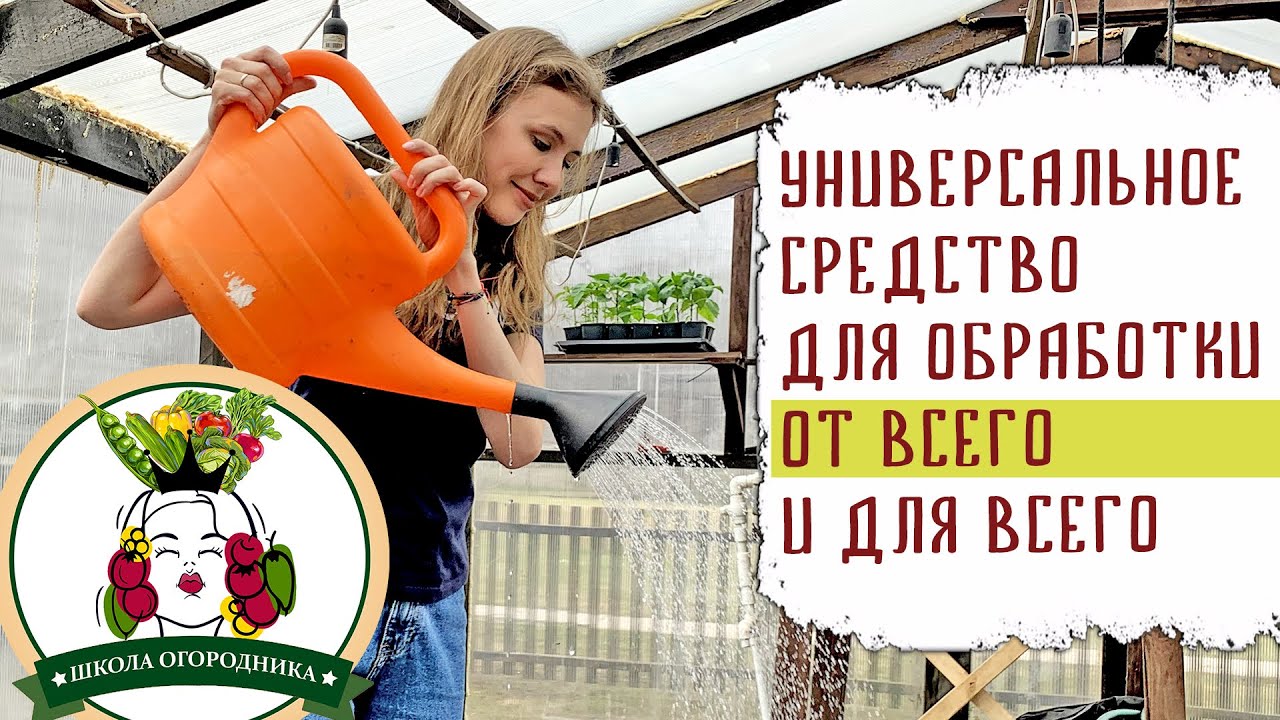 Нетипичный Фермер Пенза Интернет Магазин