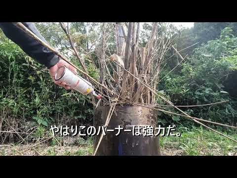 サウナテントを建てるまで　13