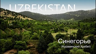 Синегорье (Кураминский Хребет) Узбекистан, Ташкентская область.