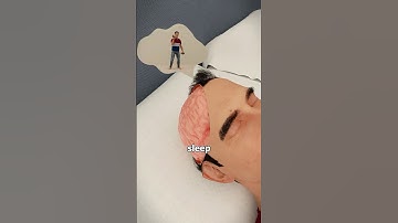 De wetenschap van slaap uitgelegd! 🧠💤