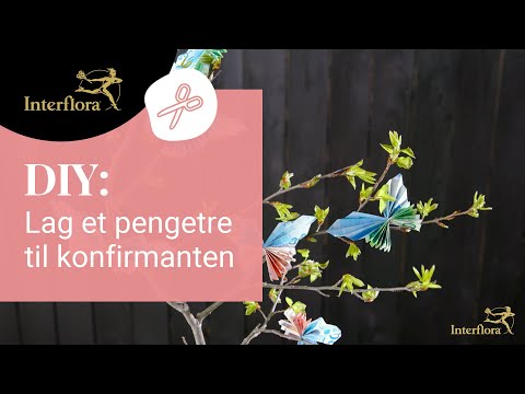 Video: Hvordan Lage Et Pengetre