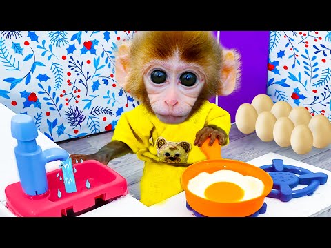 Monkey Baby Bi