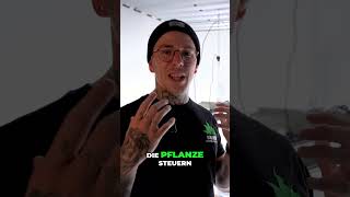 Pflanzenwachstum steuern: Mikroklima & VPD erklärt
