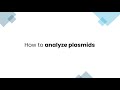 How to analyze plasmids in Photo51