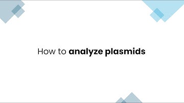 How to analyze plasmids in Photo51