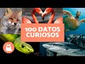 100 curiosidades sobre los animales salvajes  te sorprendern