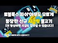 피쉬 새롭게 등장 귀요미 시크릿 잡는 방법(한정판 ❌)ㅣ로블록스 피쉬
