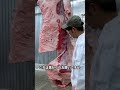 春長くん枝肉【重大なお知らせ】