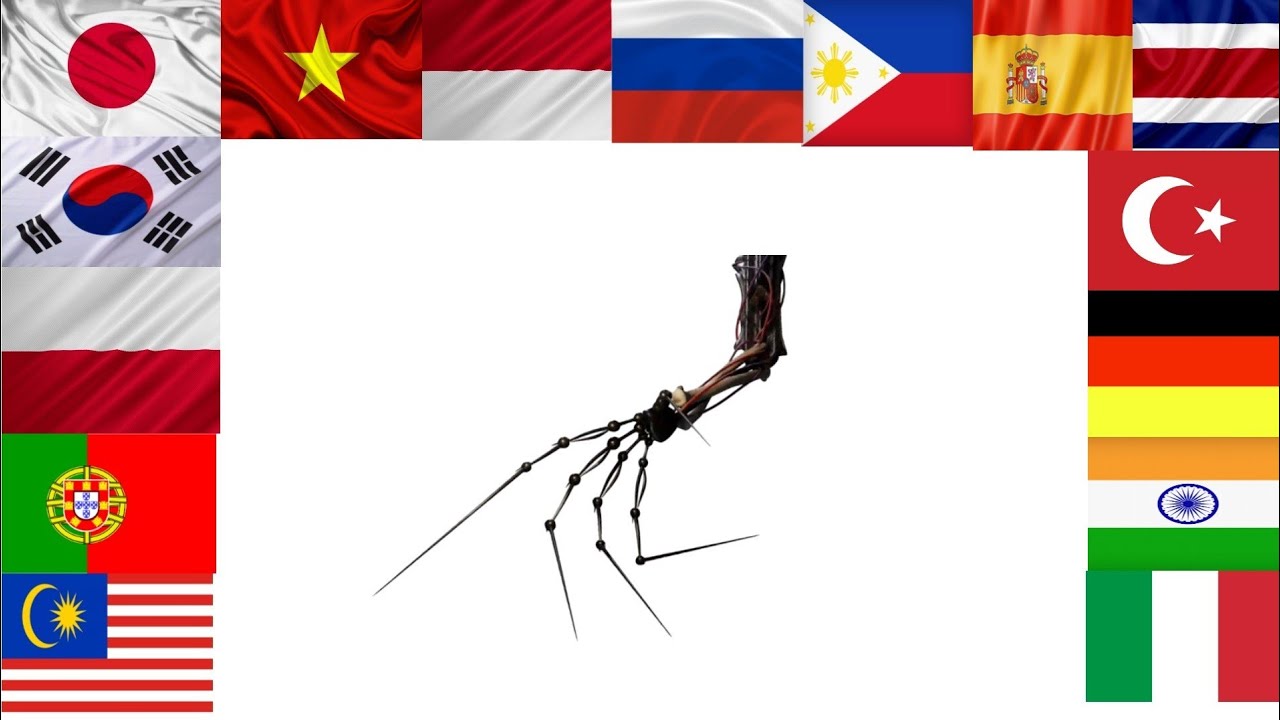 PROTOTYPE EXPERIMENT 1006 IN DIFFERENT LANGUAGES