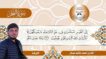 سورة النحل  - القارئ محمد هاشم  - الاورفة والدشت
