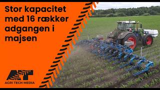 🇩🇰 Stor kapacitet med 16 rækker ad gangen i majsen