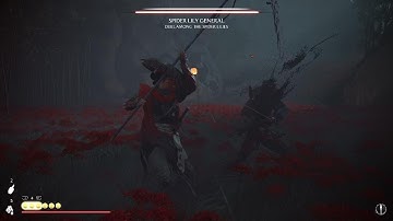 Ghost of Yotei - How to Beat Spider Lily General - Duel Among The Spider Lilies on Lethal Difficulty