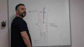 Kılcal damar çatlaması ve ince varisler niye oluşur? - Prof. Dr. Ahmet AKGUL