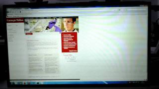 MultiTouch Cell - Windows 7 Multitouch Integration