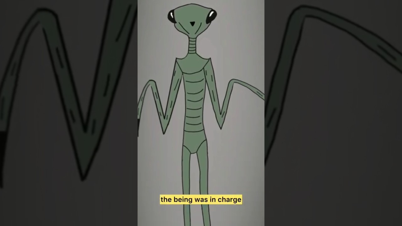 Woman Encounters Praying Mantis Alien 