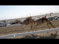 الشوط5(الشاهنيه)للسيد: سهيل صياح  محمد المزروعي توقيت 01:44