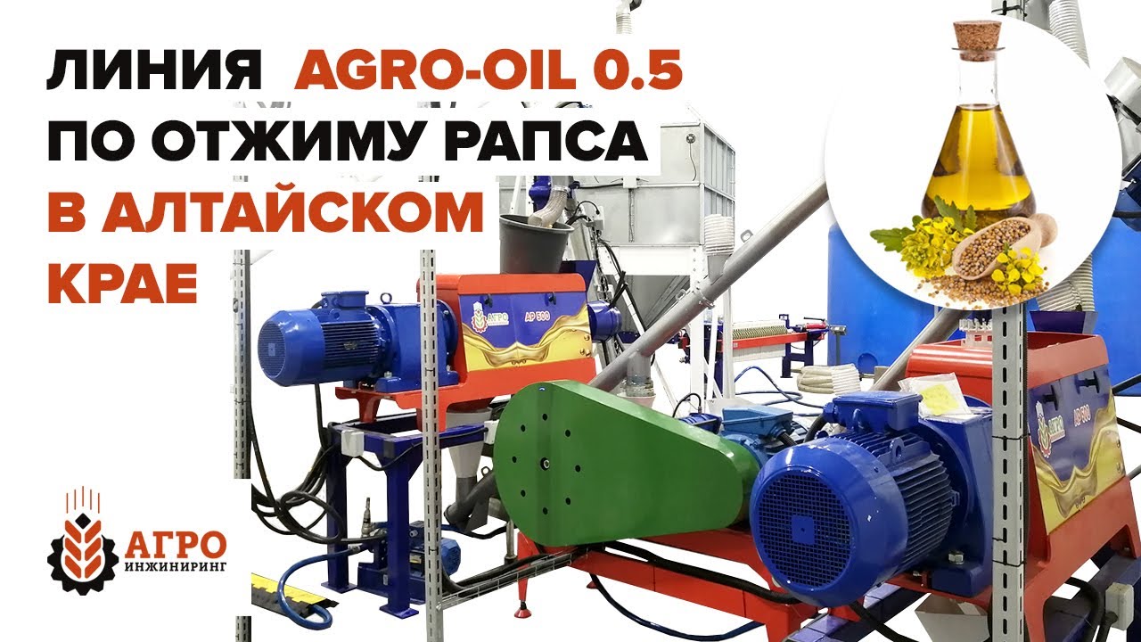 Производство рапсового масла в Алтайском крае. Запустили еще одну линию ...