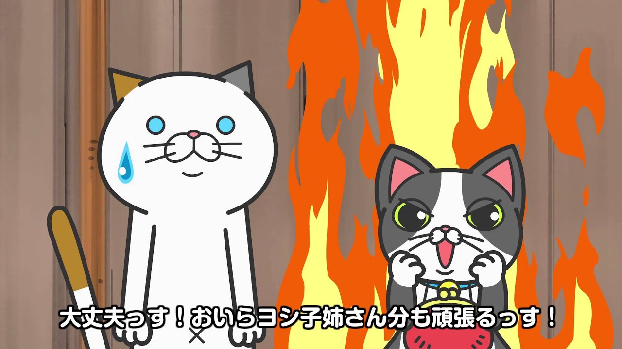 Dhc公式 タマ川ヨシ子 猫 第四話 コテツのおつかい Youtube