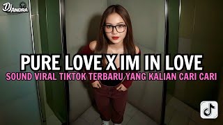 DJ PURE LOVE X IM IN LOVE BREAKBEAT REMIX SLOW BASS JEGAD JEDUG VIRAL TIKTOK TERBARU 2026