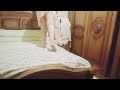 روتين انتساب على طول 