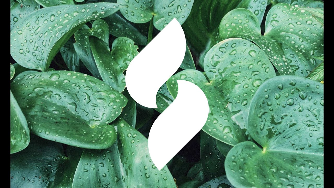 Paint Scentsations - Paint Additive to Control Odors and Provide Lasting Freshness for Months