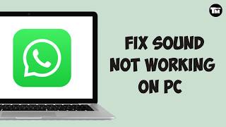How To Fix Sound Not Working on WhatsApp PC (Solved 2026)