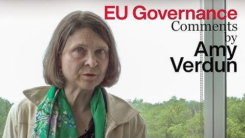 Theories of European Integration: Comments by Amy Verdun