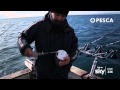 Pesca TV Sky 236 - IN LIGURIA CON WALTER: LIGHT DRIFTING - pillola