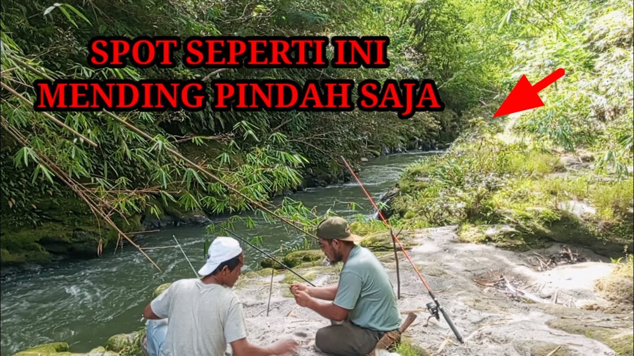 SPOT MANCING SEPERTI INI MENDINGAN PINDAH ATAU PULANG KARENA TIDANG ADA ...