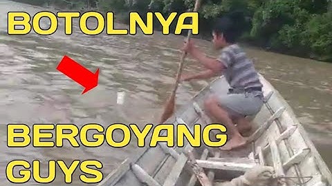 Latuk ( Pancing Botol ) Poin 2 Ekor di Batoq Kelo, Mahakam Ulu