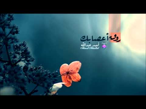 روق أعصابك أحمد عبدالله Samaa Network Ahmed Abduallh