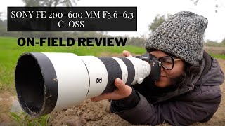 Sony FE 200-600 mm F5.6-6.3 G OSS Review | Field Test