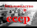 Медовый цветок Фильм СССР  Пчеловодство для начинающих