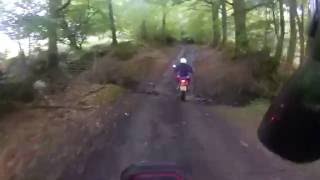 Fording the Little Dart River near Rackenford in Devon