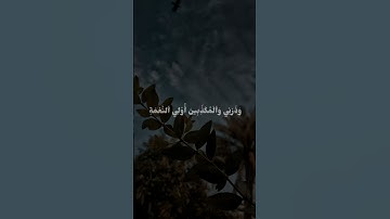 القارئ عبدالرحمن مسعد سورة المزمل من الايه 10 الي 12