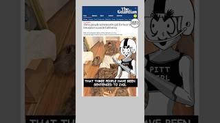 BEAR 🐻 SUIT INSURANCE FRAUD