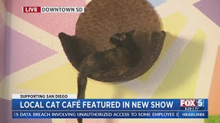 San Diego Cat Café Featured In Show