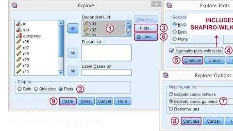 how to perform shapiro wilk test on #spss Spss statistics