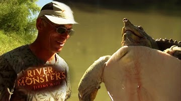 A Surprise Softshell Turtle! | TURTLE | River Monsters
