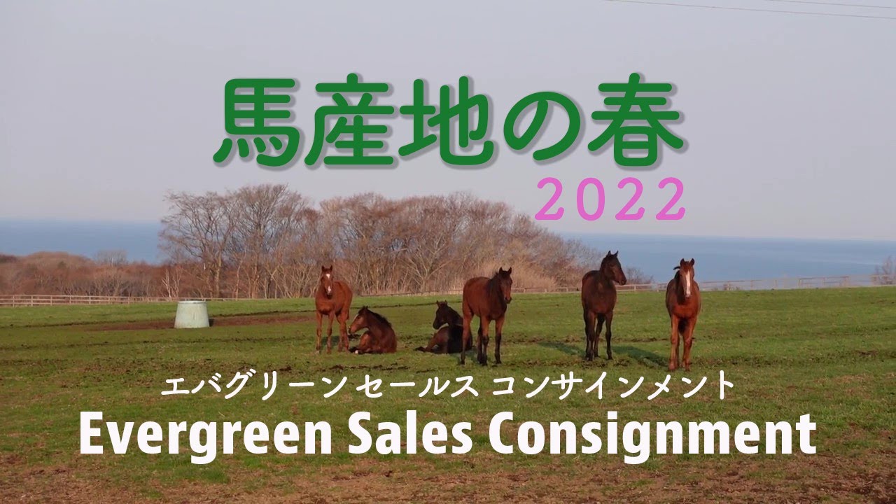 馬産地の春2022 エバーグリーンセールスコンサインメント