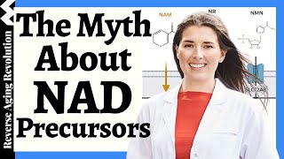 5 Nad Precursors - Which One Is Most Effective & Why? Lead Nad Scientist Dr Nichola Conlon Explains