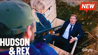 Hudson and Rex 2024 🔥🔥 Hudson and Son 🔥🔥 Full Episode Series 2024 New