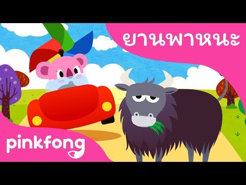 เล็กจิ๋วกระจ้อย | เพลงยานพาหนะ | พิ้งฟอง(Pinkfong) เพลงและนิทาน