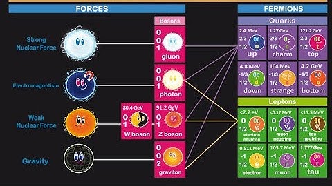 Explaining some Hypothetical Particles beyond the Standard Model #facts #viralvideo  #explained