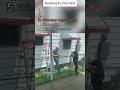 Daily funny pets 37