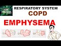 Chronic obstructive pulmonary disease part 1 emphysema pathology