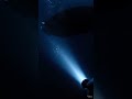 You Won’t Believe This#shorts  #deepsea #ocean #mystery